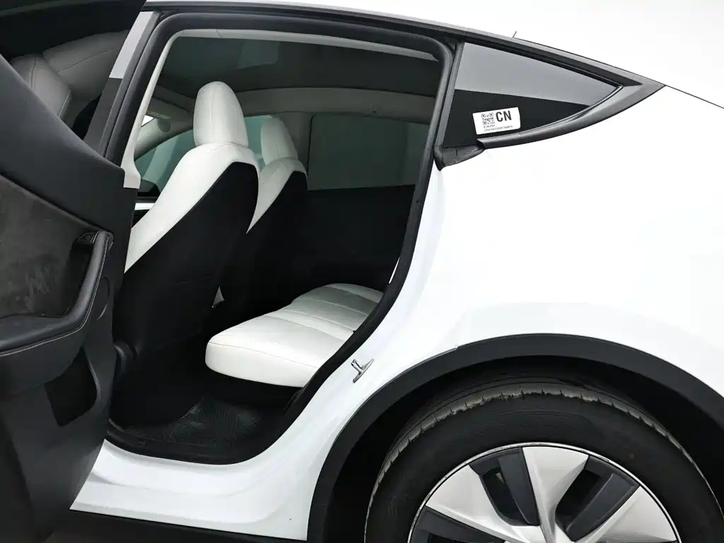Tesla Model Y — миниатюра 14