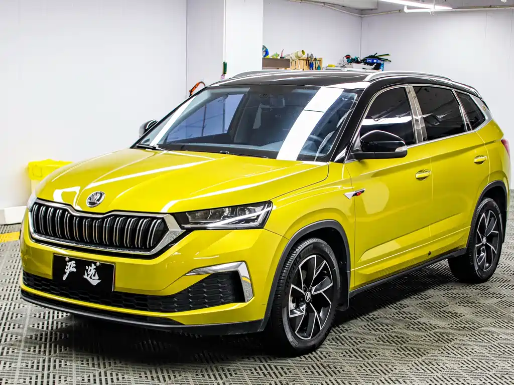 Купить Skoda Kamiq