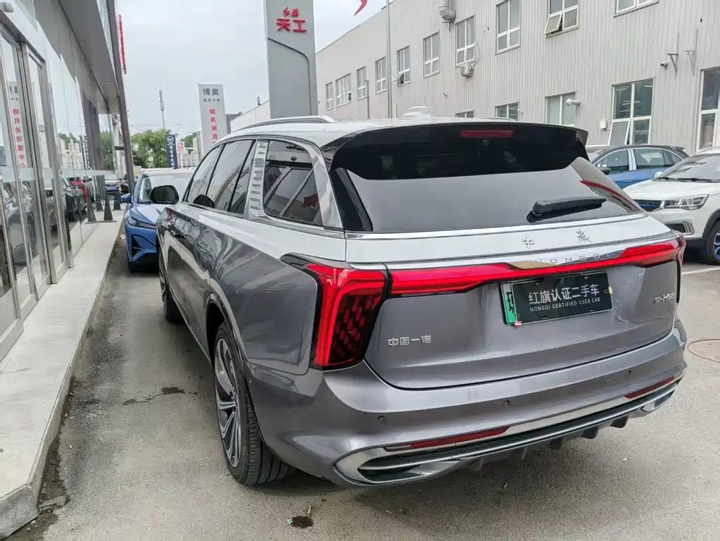 Hongqi E-HS9 2022 660km мест