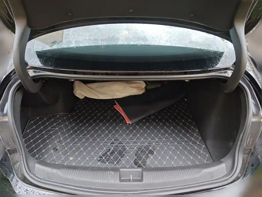 Buick Regal — миниатюра 20