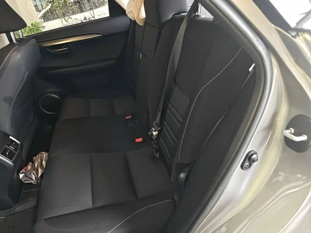 Lexus NX — миниатюра 17