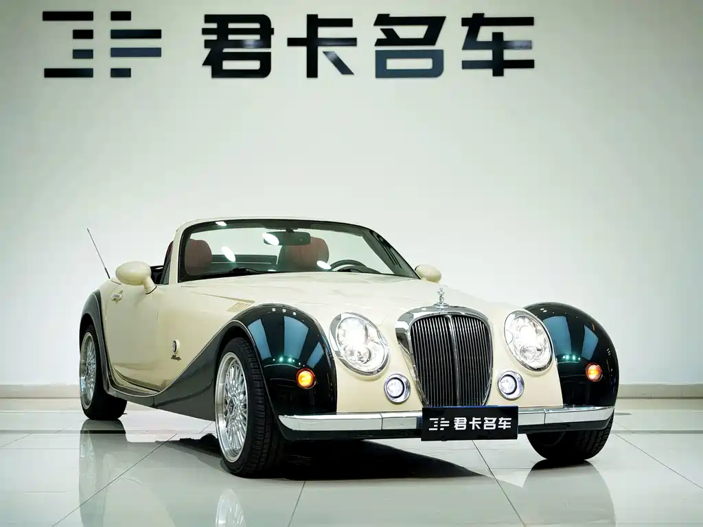 Mitsuoka Queen — миниатюра 11