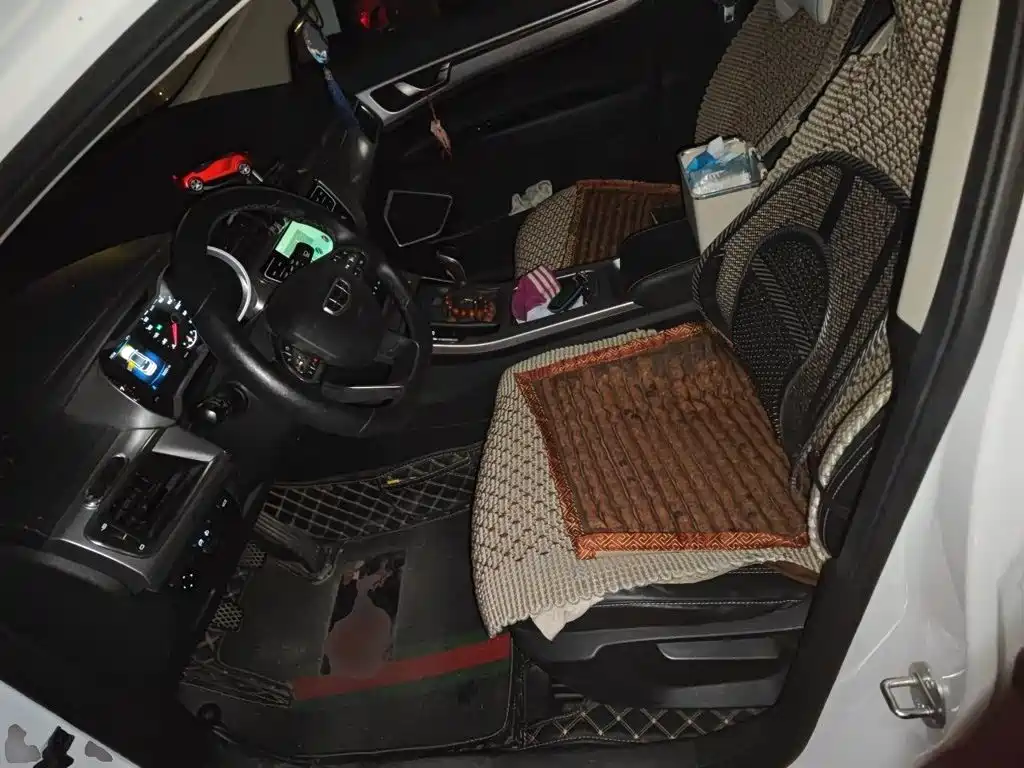 Geely Emgrand GS — миниатюра 11