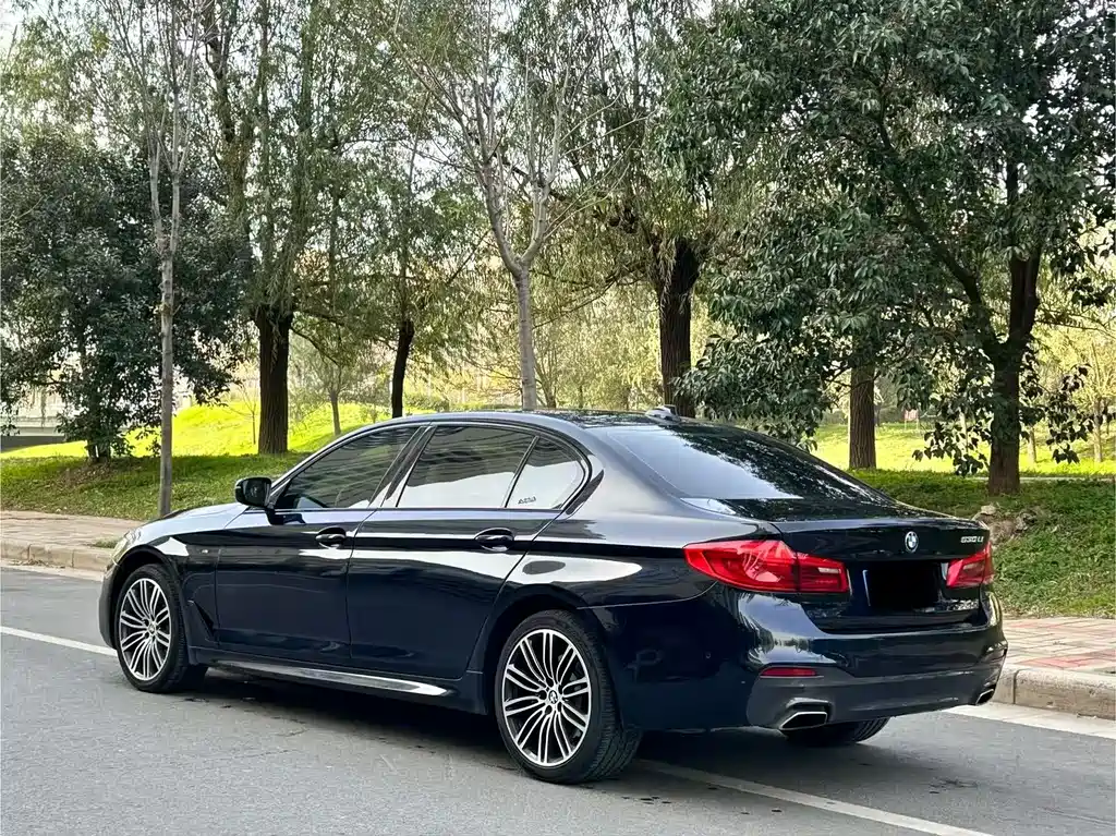 BMW 5 Series 5 2019 530Li Lead M Sport