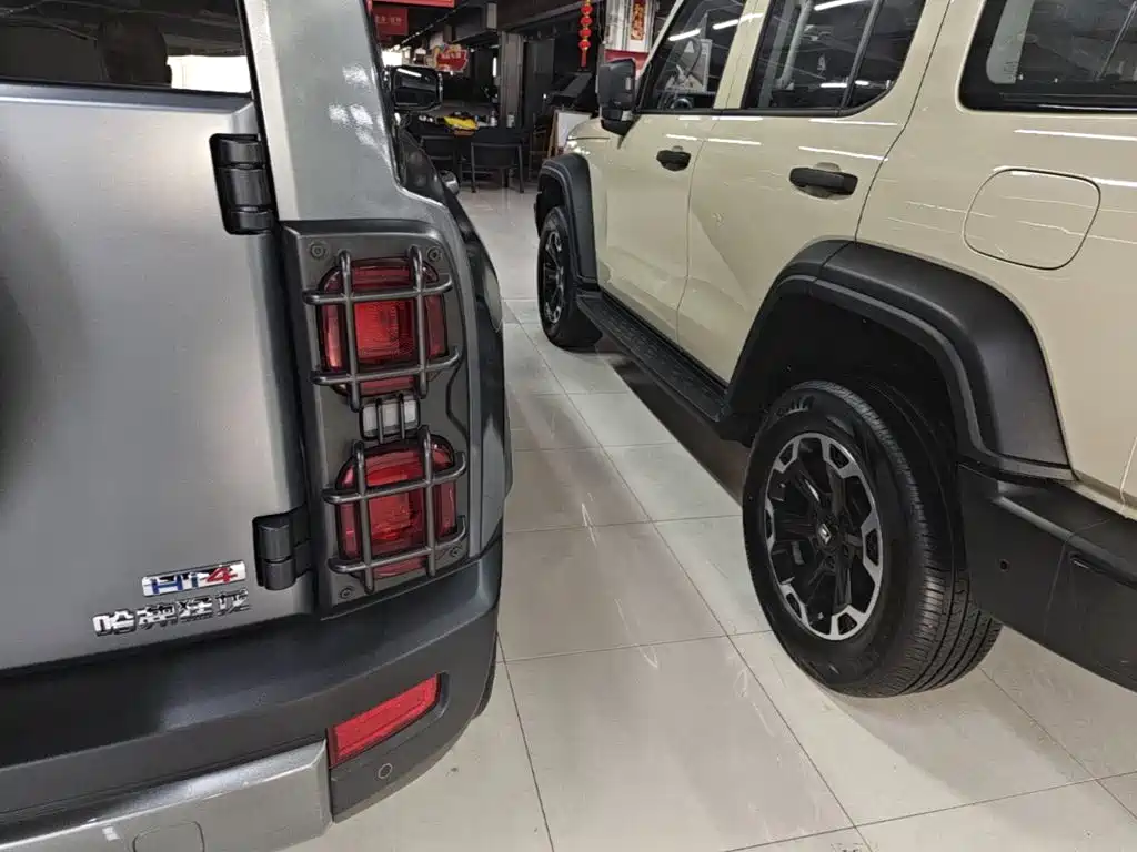 Haval Menglong New Energy — миниатюра 8