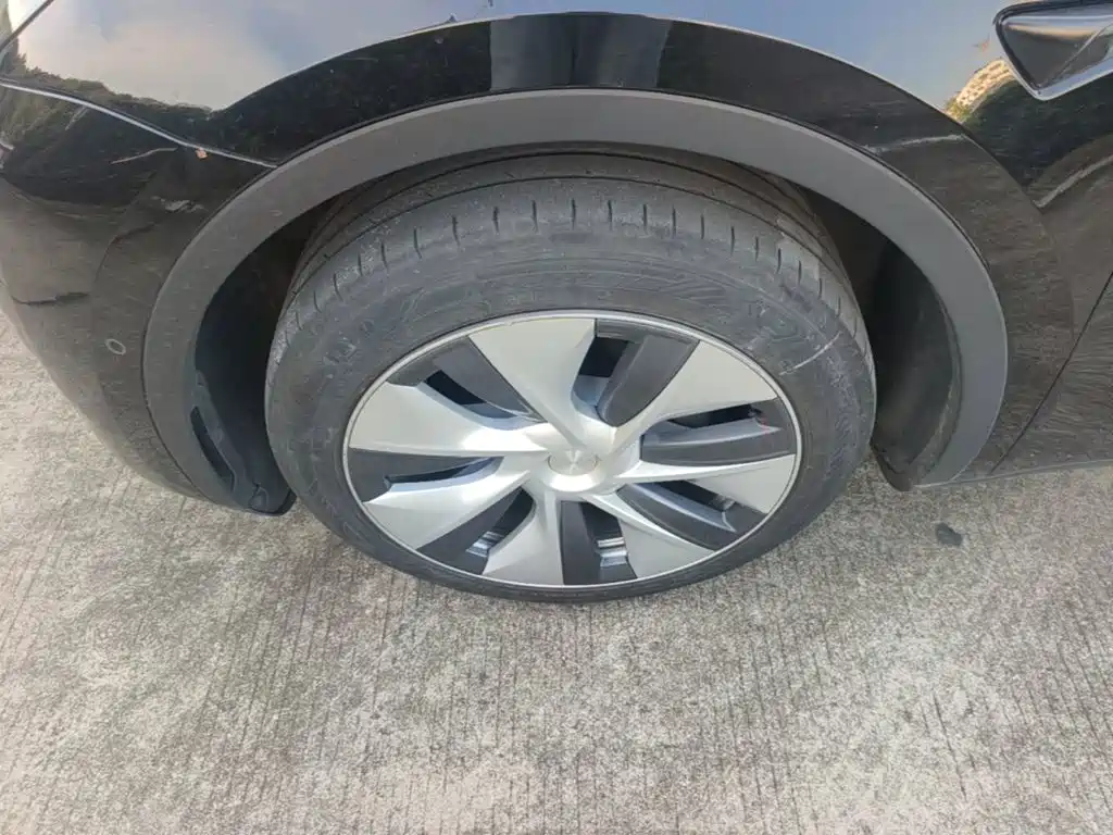 Tesla Model Y — миниатюра 23