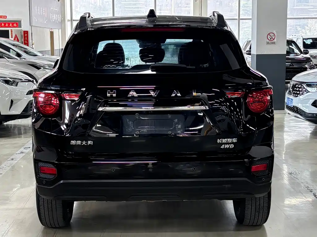 Haval Haval Big Dog PLUS — миниатюра 14