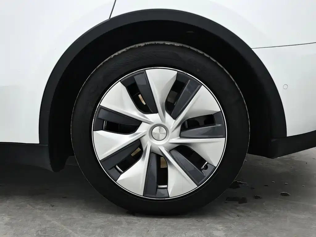 Tesla Model Y — миниатюра 9