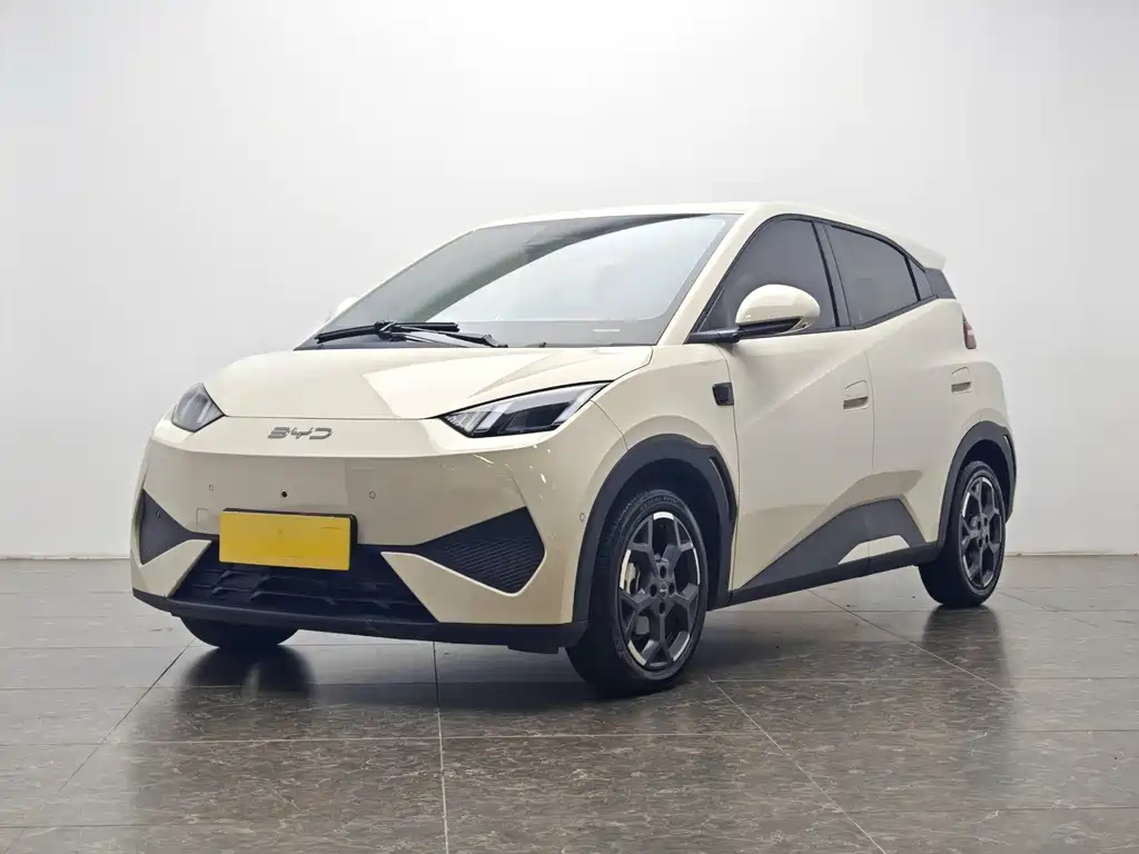 Byd Seagull 2025