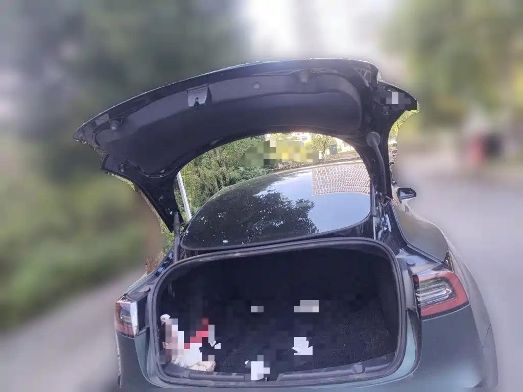 Tesla Model 3 — миниатюра 10