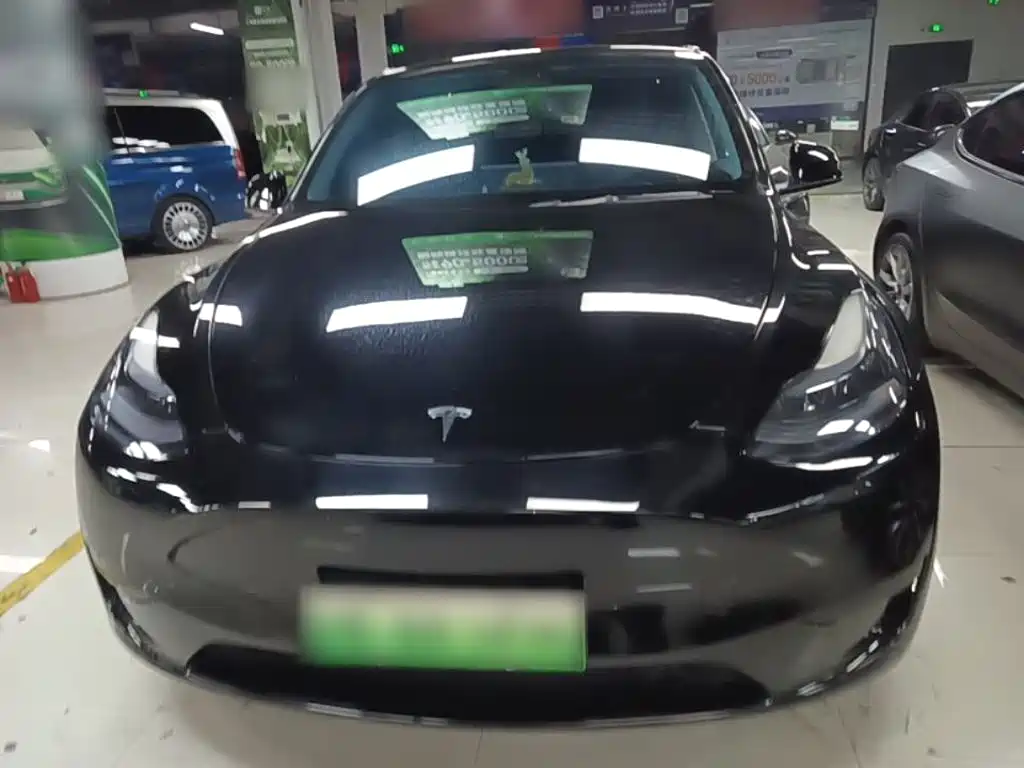 Tesla Model Y — миниатюра 3