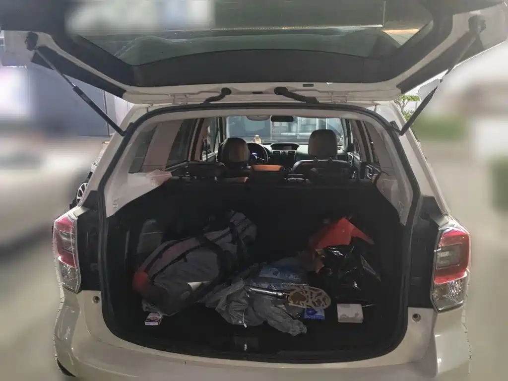 Subaru Forester — миниатюра 20