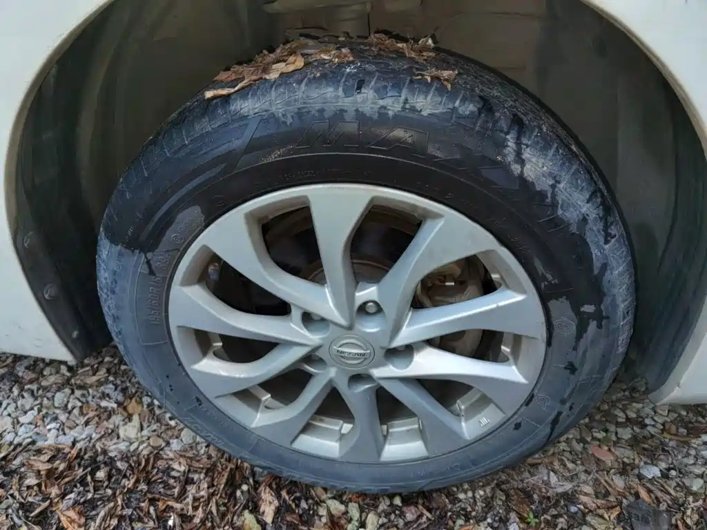 Nissan Sylphy — миниатюра 8