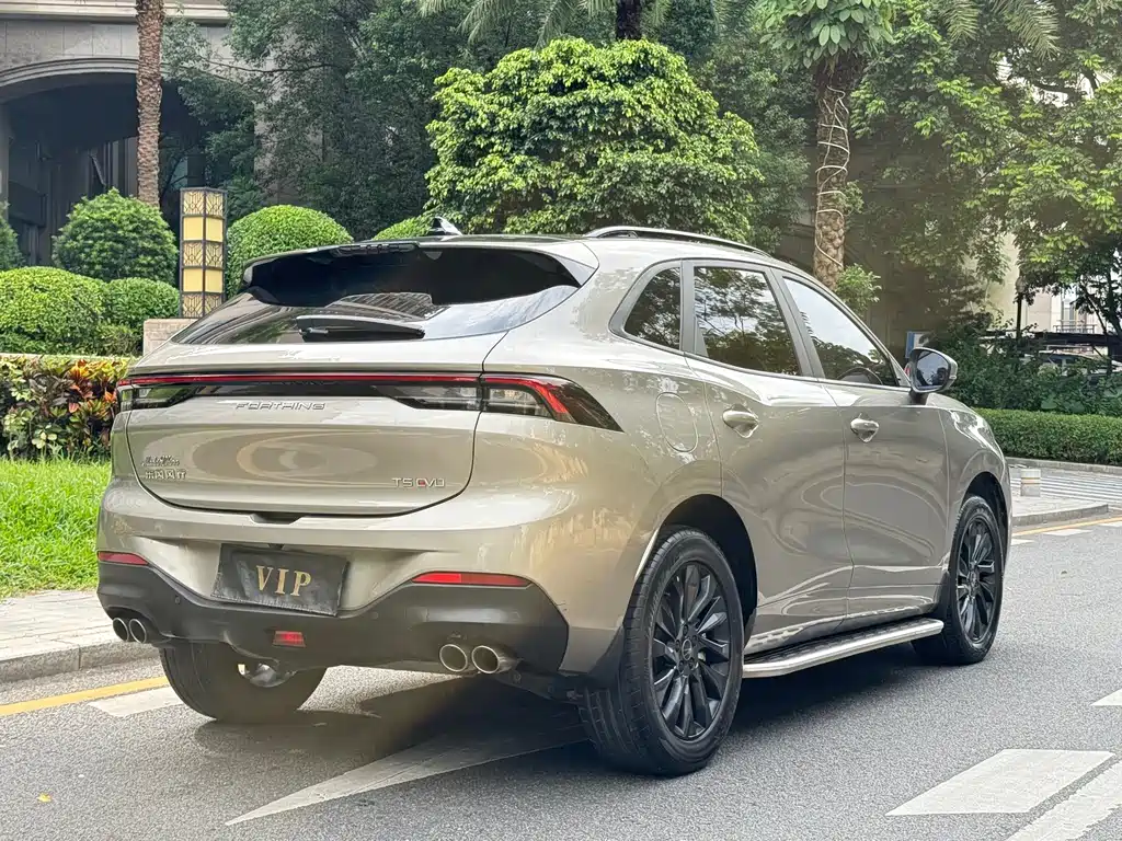 Fengxing Fengxing T5 EVO — миниатюра 23
