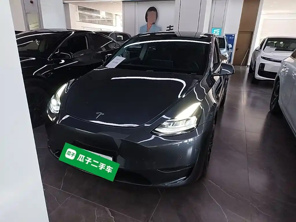 Tesla Model Y — миниатюра 3