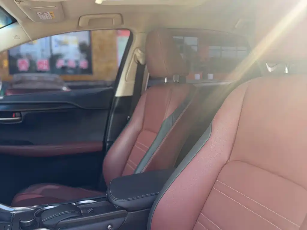 Lexus NX — миниатюра 18