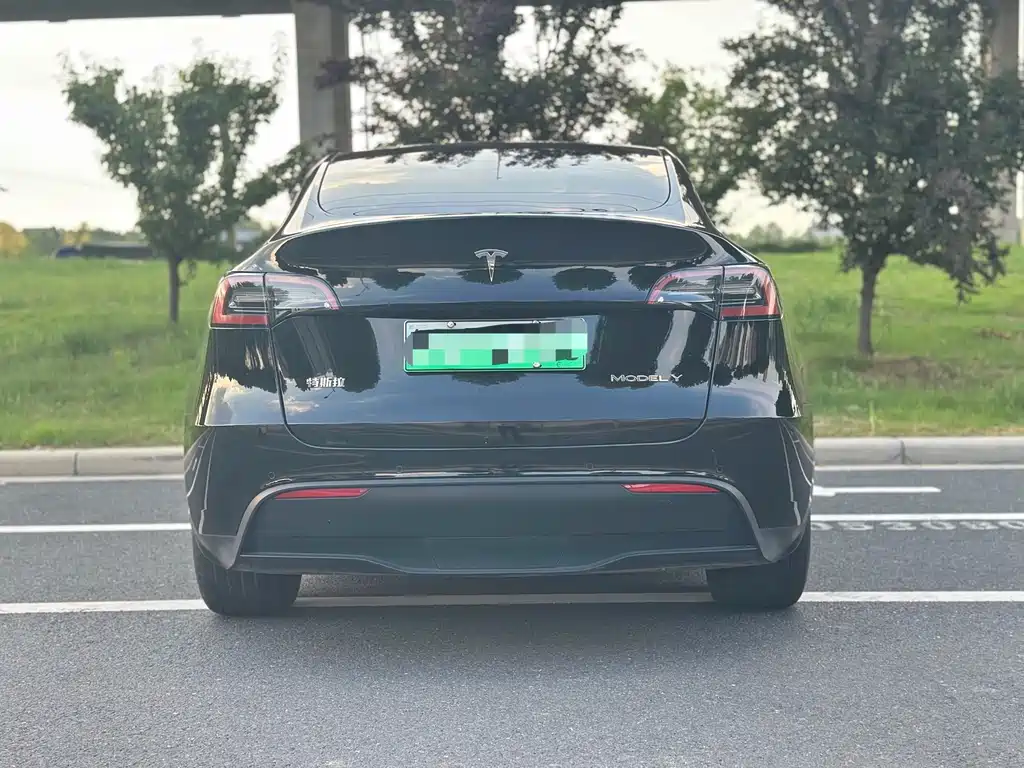 Tesla Model Y — миниатюра 8