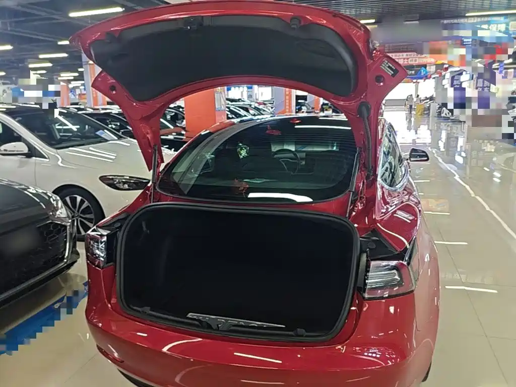 Tesla Model 3 — миниатюра 19