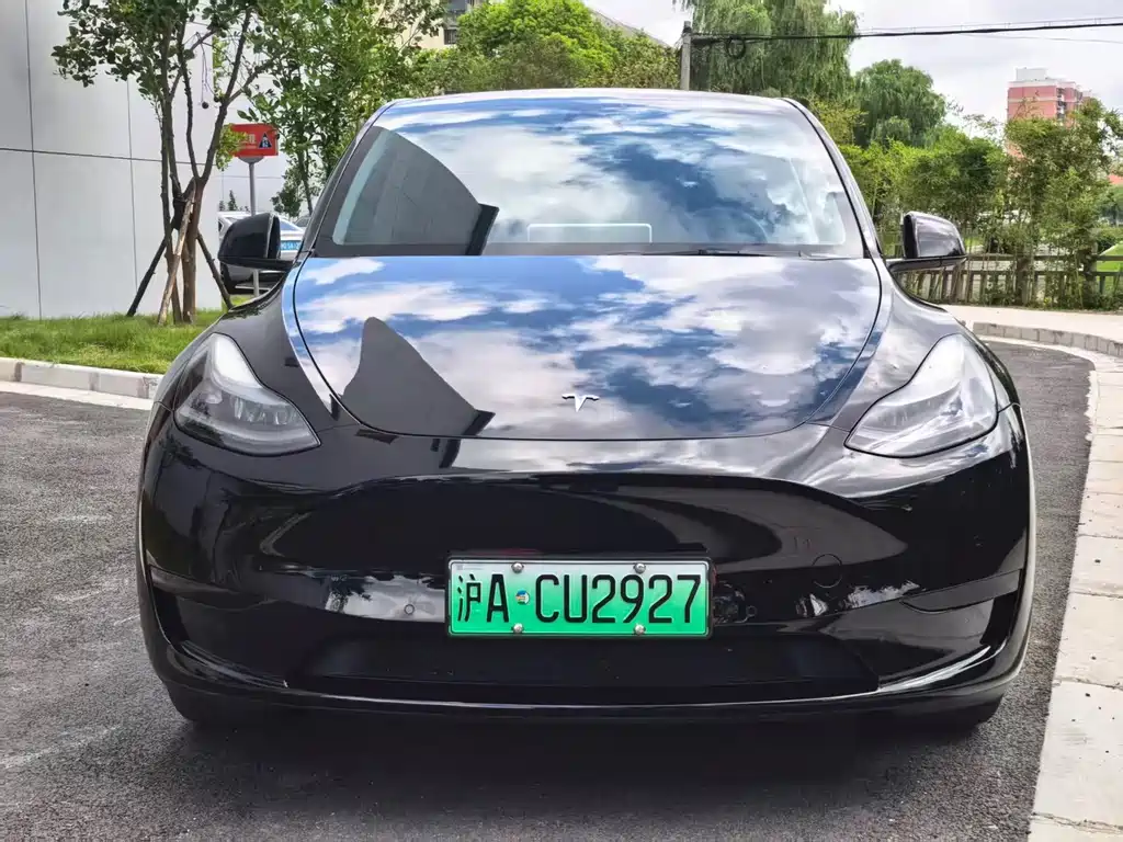 Tesla Model Y — миниатюра 3