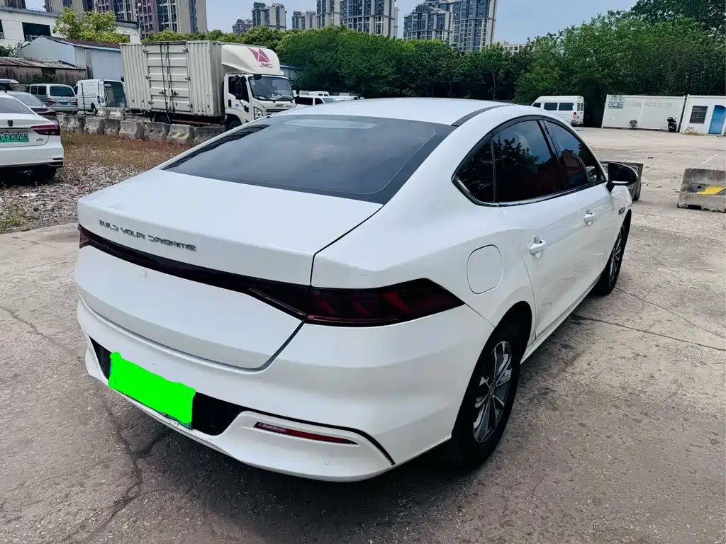 BYD Qin Plus PLUS 2024 DM-i 55KM Lead