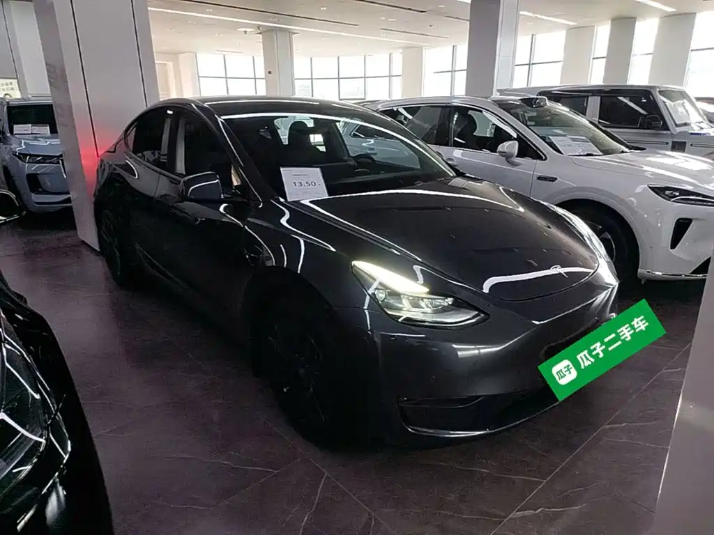 Tesla Model Y — миниатюра 4