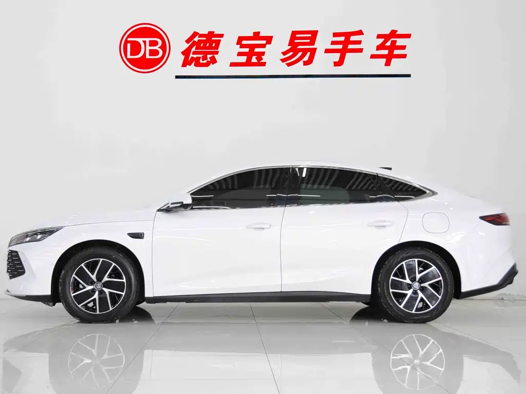 BYD QIN L