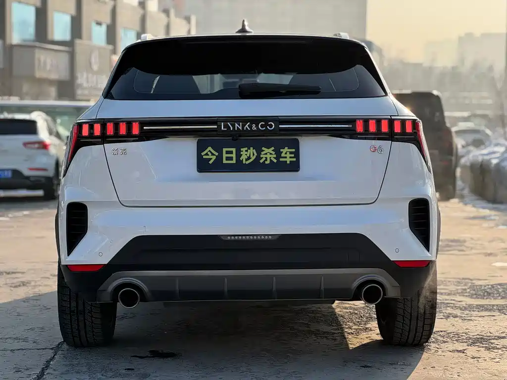 LYNK 06