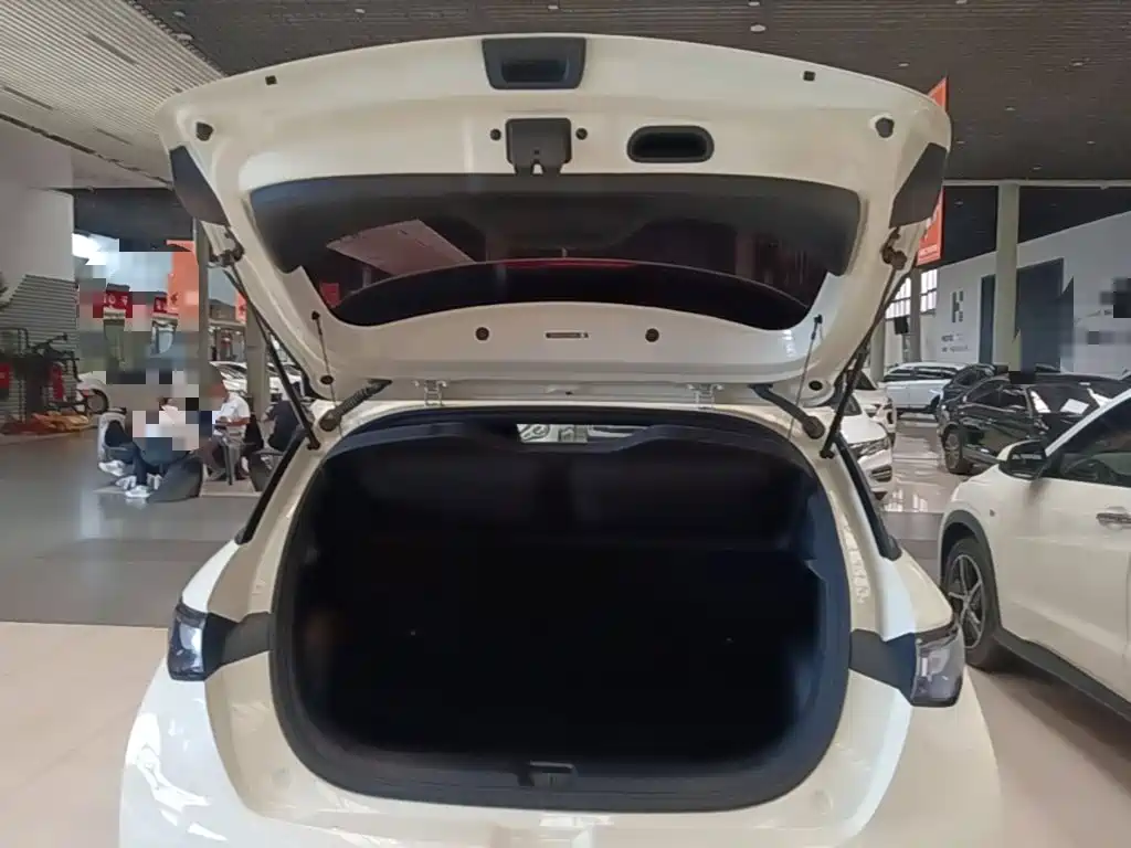 BYD Dolphin — миниатюра 19
