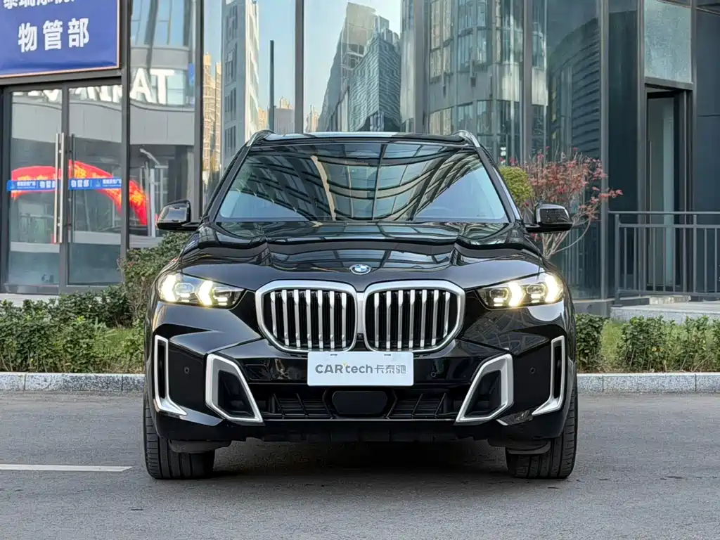 BMW X5 — миниатюра 2