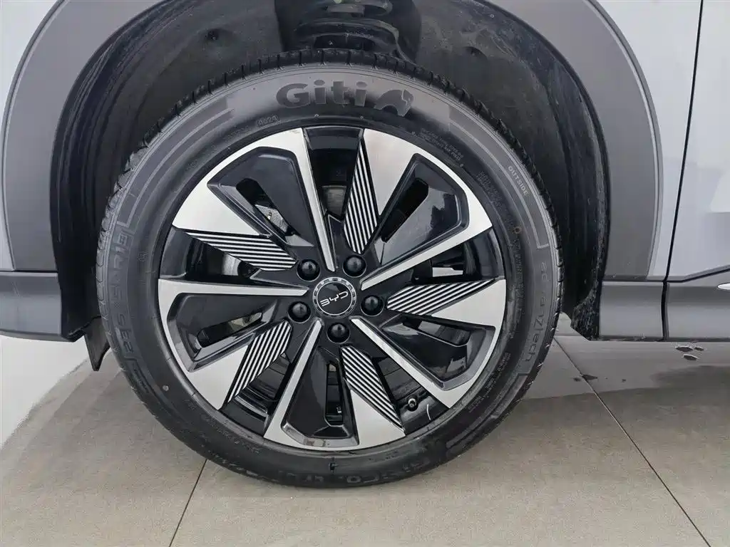 BYD SONGJIANG NEW ENERGY