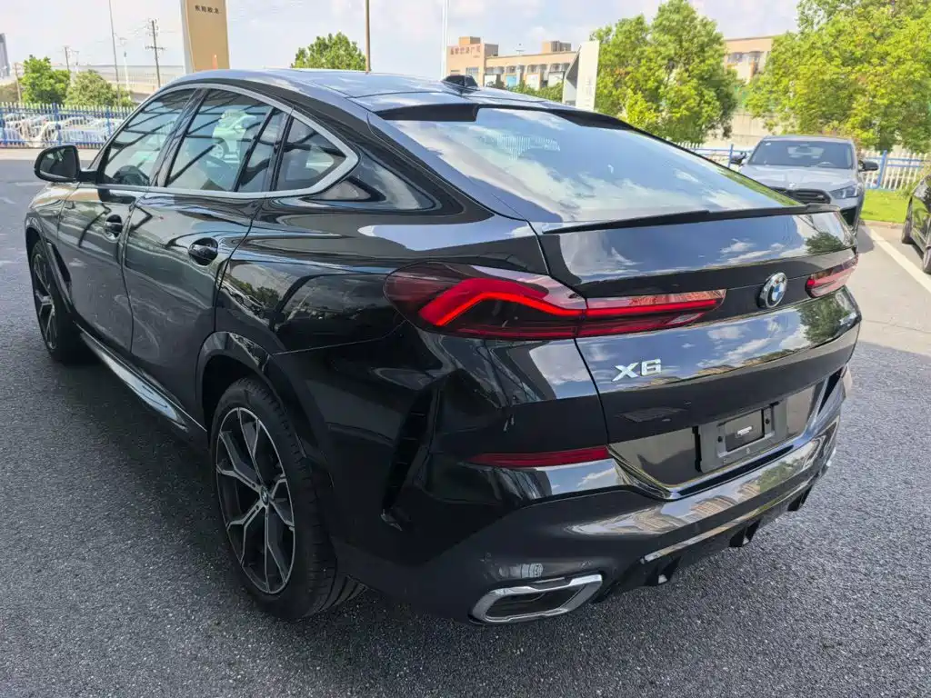 BMW X6 — миниатюра 4