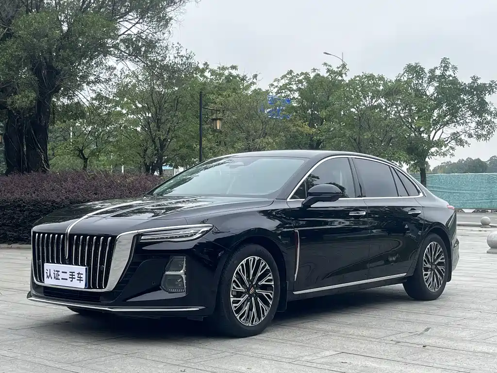 Hongqi Hongqi H5 2024