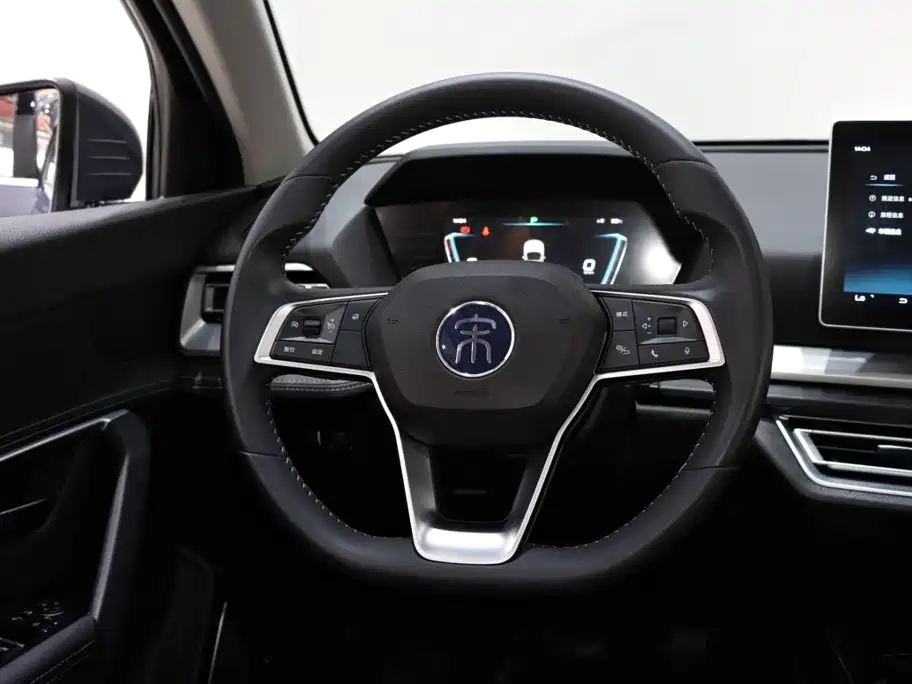 BYD Pro — миниатюра 13