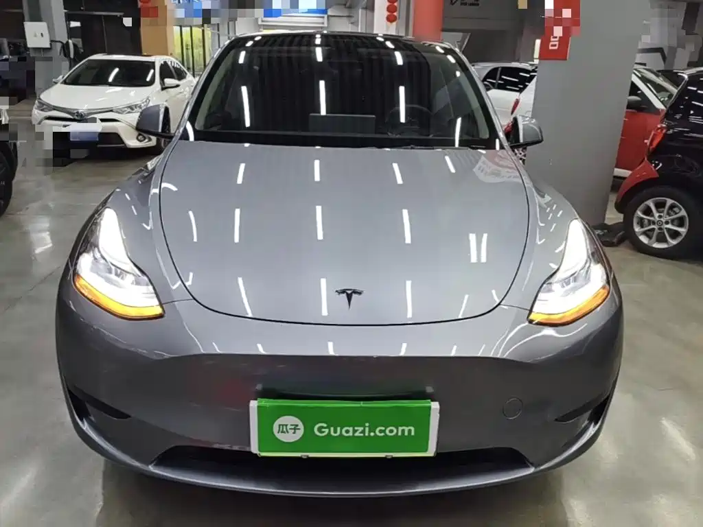 Tesla Model Y — миниатюра 3