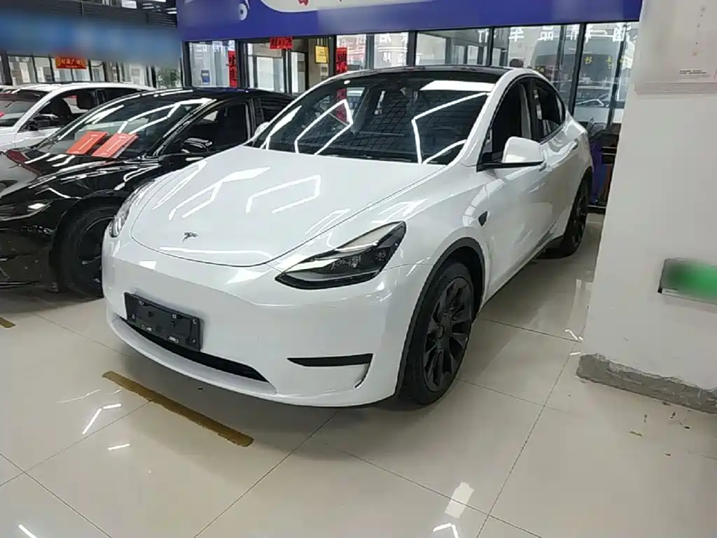 Tesla Model Y — миниатюра 2