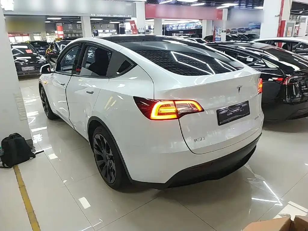 Tesla Model Y — миниатюра 5