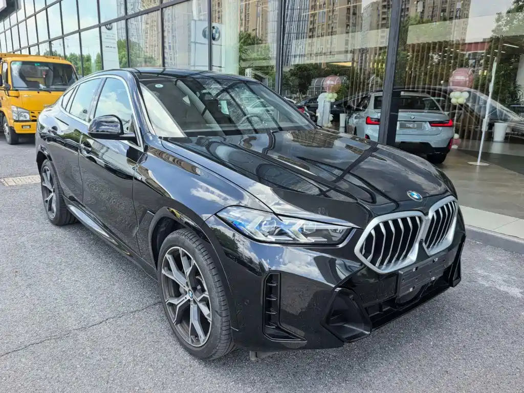 BMW X6 — миниатюра 3