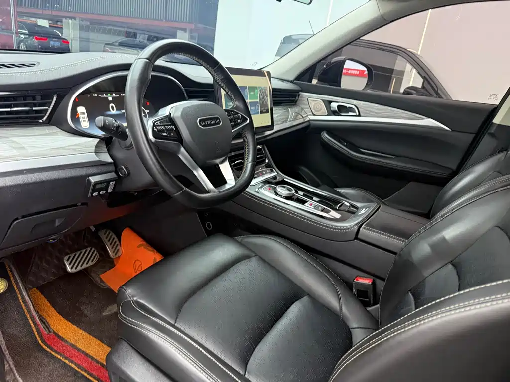 Skyworth EV6 — миниатюра 5