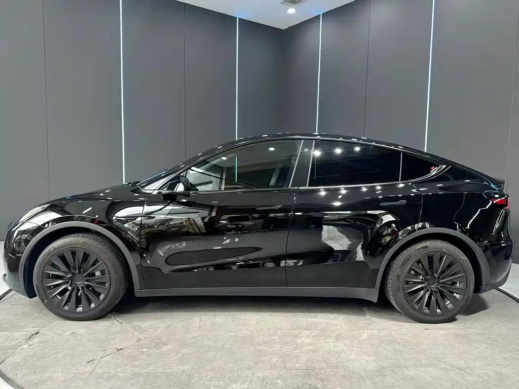 Tesla Model Y — миниатюра 4