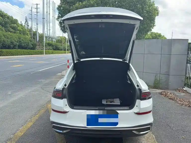 Volkswagen Lamando — миниатюра 7