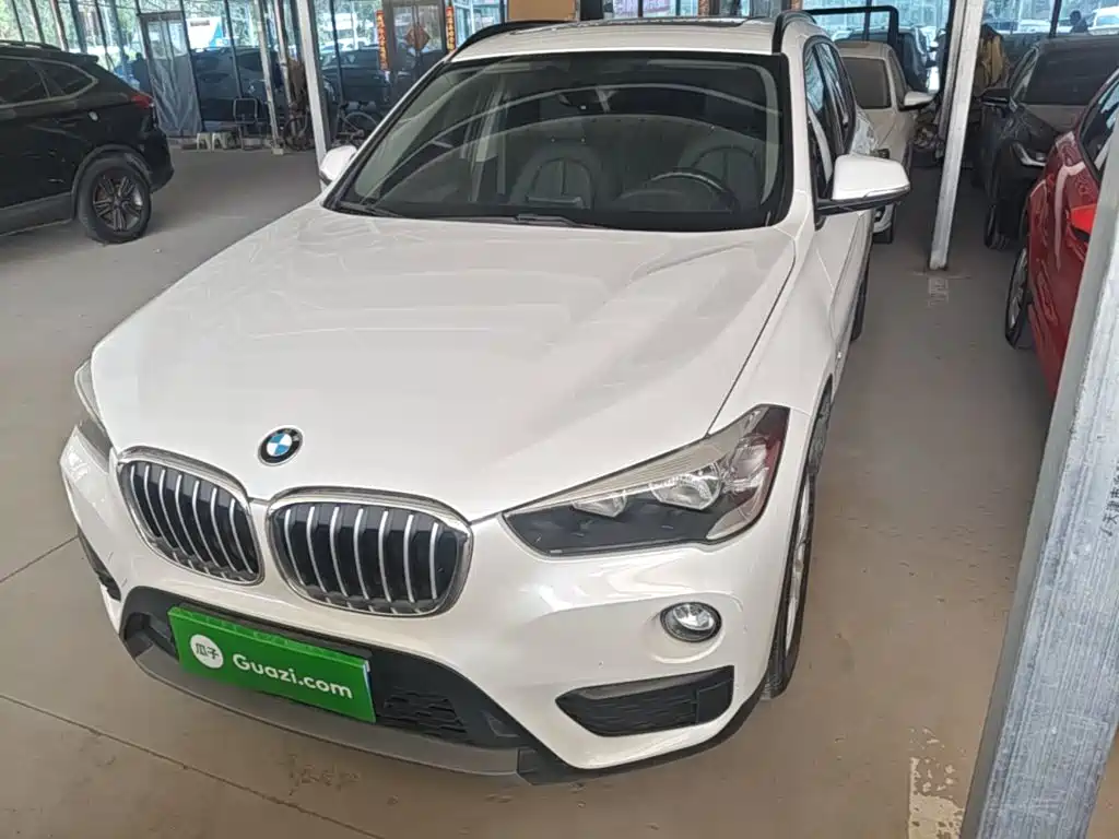 BMW X1 — миниатюра 2