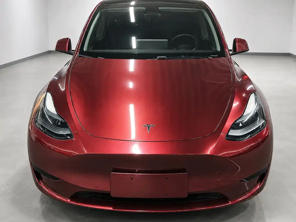 Tesla Model Y — миниатюра 2