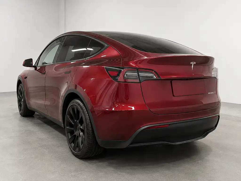 Tesla Model Y — миниатюра 7