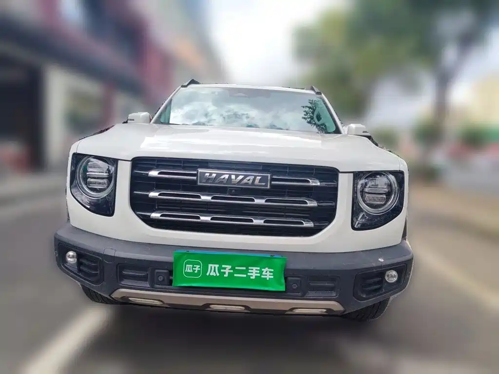 Haval Big Dog — миниатюра 23