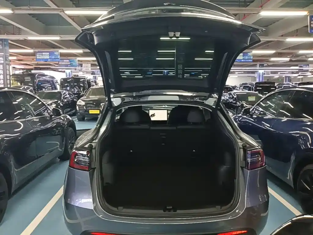 Tesla Model Y — миниатюра 19