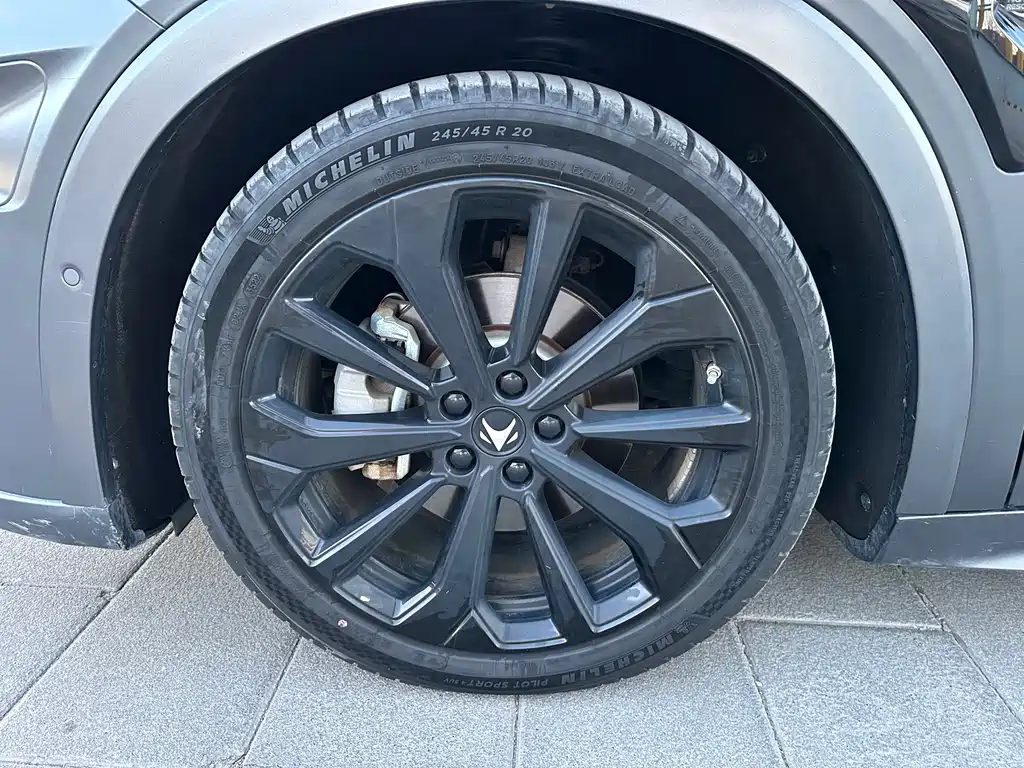 ARCFOX EXTREME FOX POLAR FOX ALPHA S