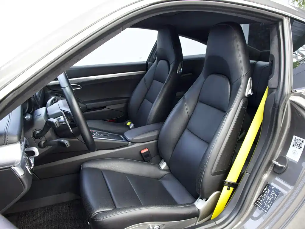 Porsche 911 — миниатюра 12