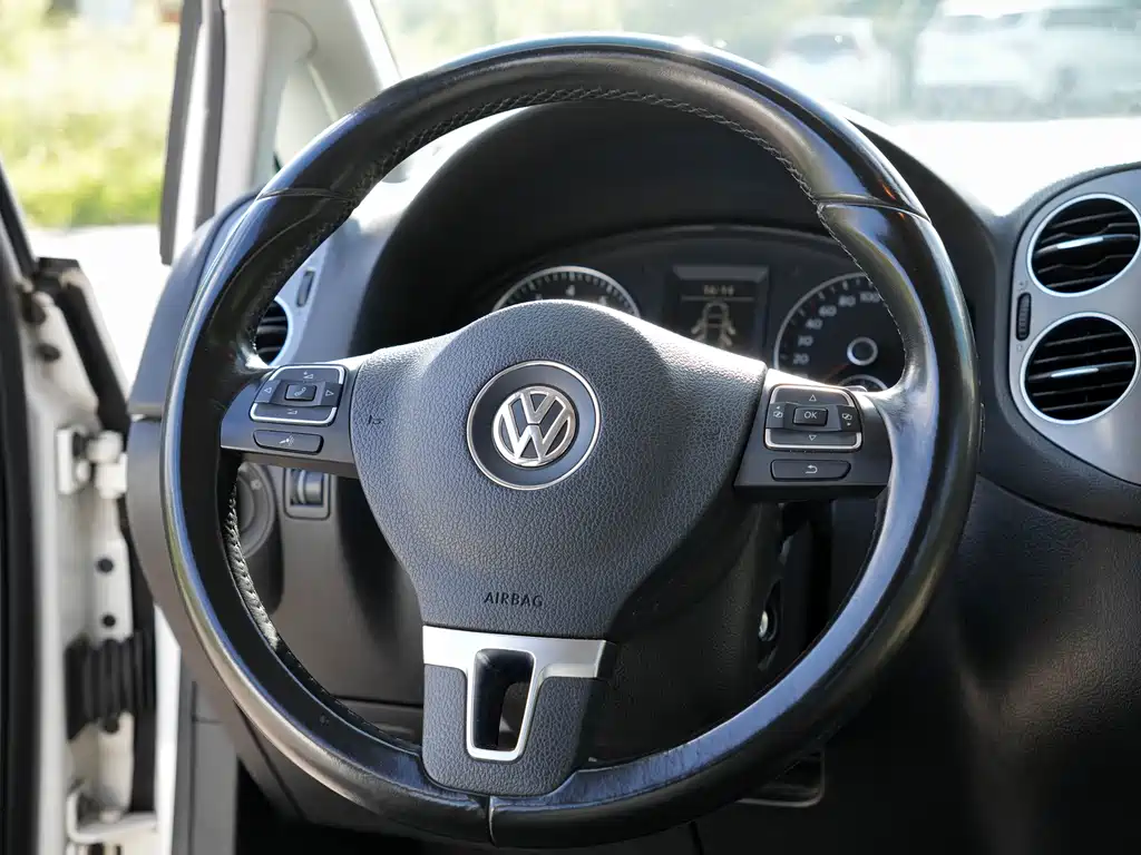 Volkswagen Golf (Import) — миниатюра 10