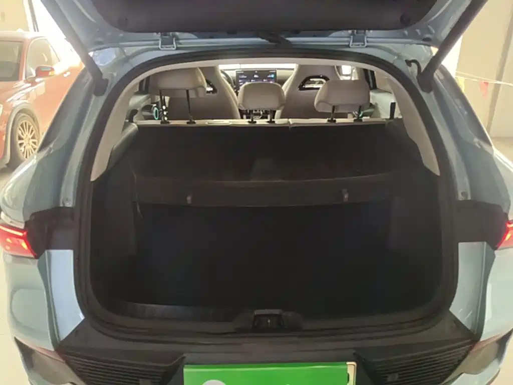 BYD Yuan Plus — миниатюра 19