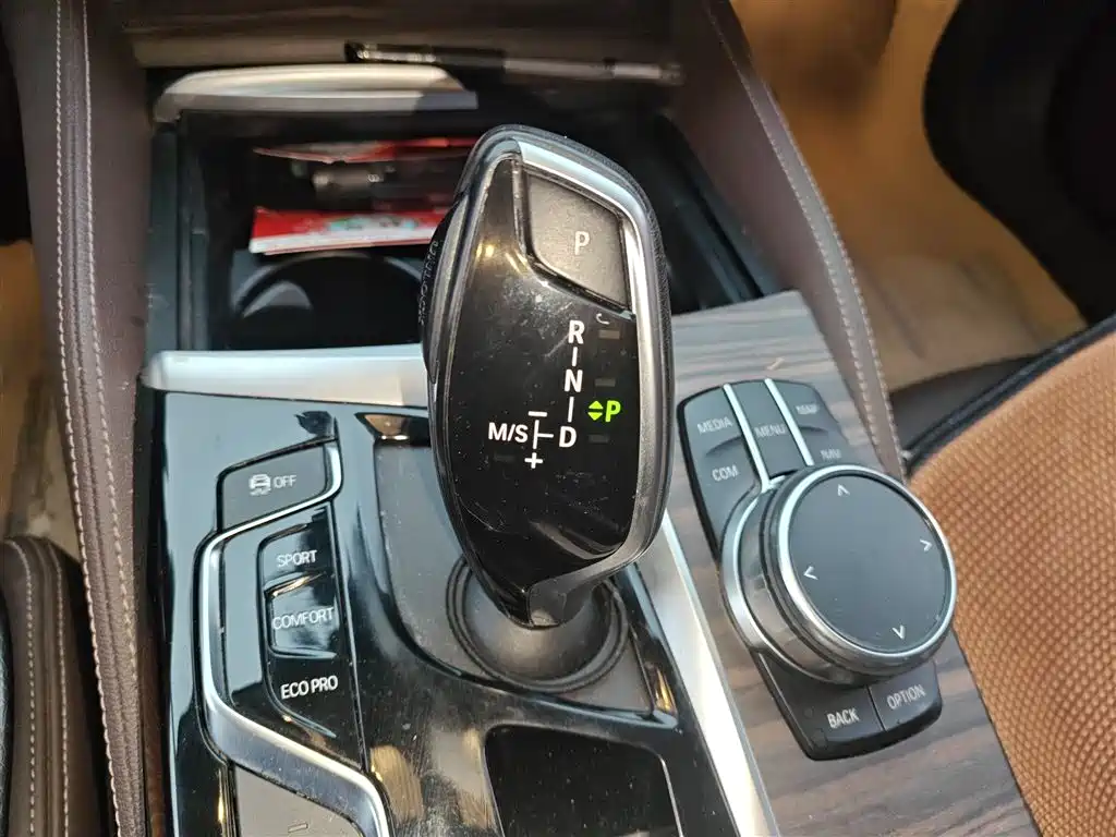 BMW 5 Series 5 2020 530Li Premium Luxury
